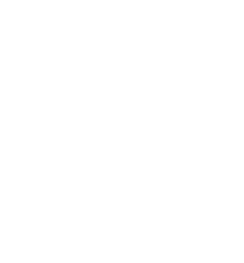 feature-icon