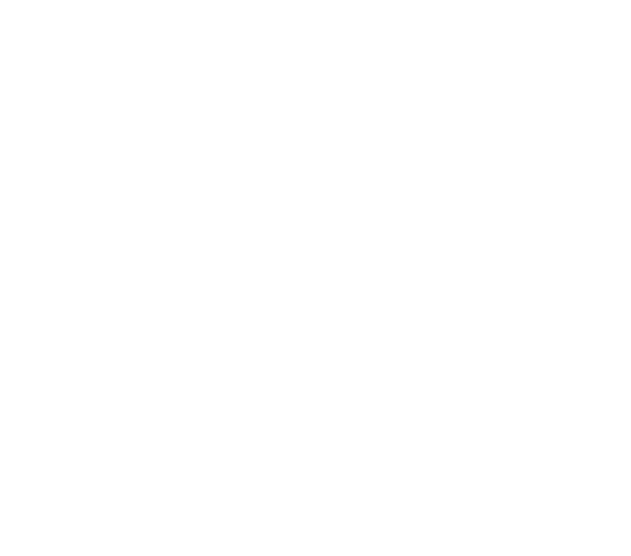 feature-icon